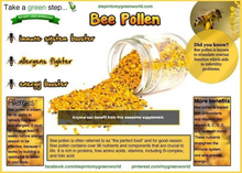 Load image into Gallery viewer, Country Sweets All Natural Bee Pollen Granules - 12oz Glass Jar