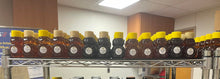 Load image into Gallery viewer, Country Sweets 2oz Baby Bear Honey (Variety) - pick 3